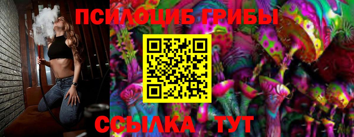 Псилоцибиновые грибы GOLDEN TEACHER  Вход с VPN  Алейск 